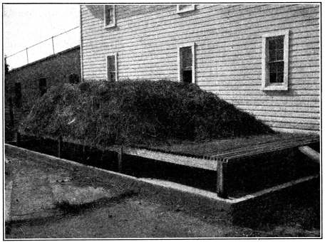 Fig. 9.--A maggot trap for house-fly control. View showing the concrete basin containing
water in which larvæ are drowned, and the wooden platform on which manure is
heaped. (Hutchison.) Fig. 9.--A maggot trap for house-fly control. View showing the concrete basin containing
water in which larvæ are drowned, and the wooden platform on which manure is
heaped. (Hutchison.)