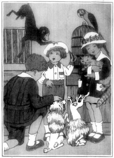 THE SECOND DOG BEGAN TURNING SOMERSAULTS.
"The Curlytops and Their Pets."              Page 50