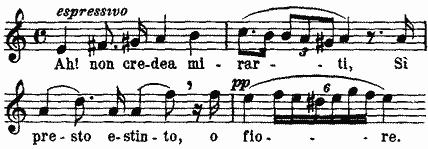 Ah non credea mirarti, S� presto estinto, o fiore