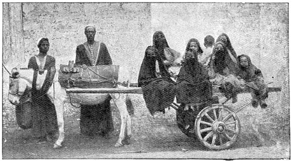 Omnibus te Ka&iuml;ro.