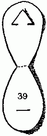 Fig. 39&mdash;The pendant open.