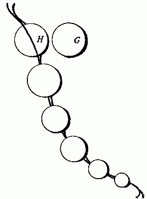 Fig. 209&mdash;The colored paper disks.