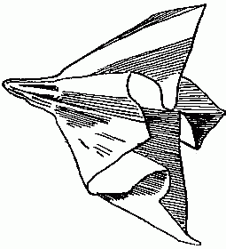 Fig. 247&mdash;Hold the square at the centre.