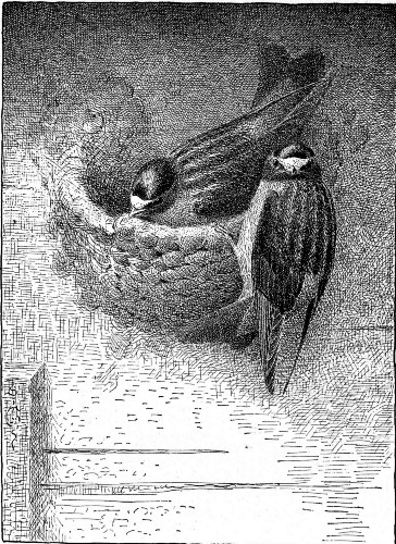 They always chatted a bit and then went on with their
work, placing their plaster carefully.