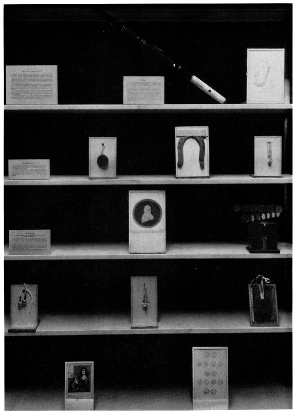 Figure 9.&mdash;Exhibit on methods of treatment of diseases
through mental impressions and psychic conditions