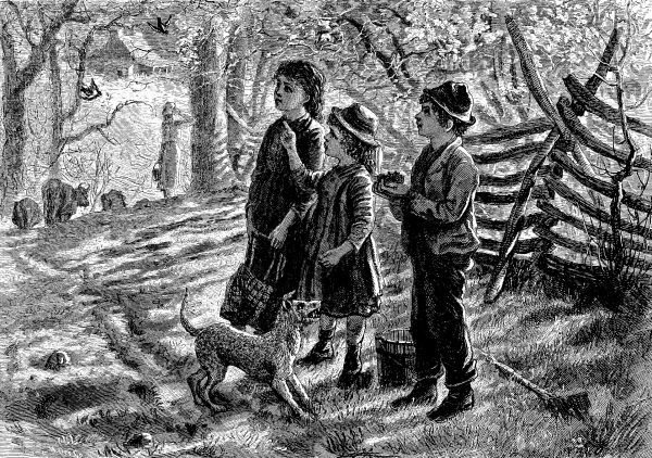 THE FALLEN NEST.&mdash;Drawn by S.&nbsp;G. McCutcheon.