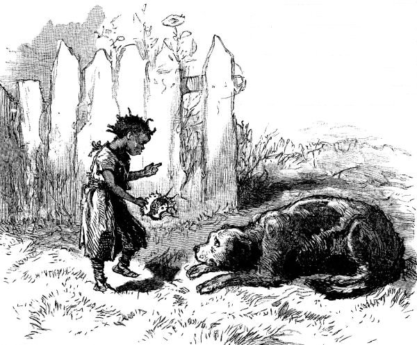 A NAUGHTY LITTLE DOG. "You bad dog, you's done gone tore my bes' bunnit mos' to pieces. I's a
big min' to gib you a whippin' that you'll 'member. Yes, I has."