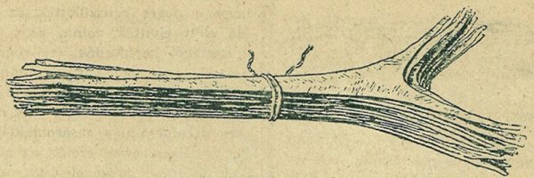 Csom&oacute;ba k&ouml;t&ouml;tt vasp&eacute;nz az afrikai Kong&oacute;ban