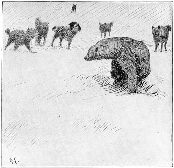 &ldquo;I let loose some of the dogs&rdquo;