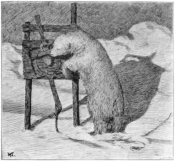 &ldquo;He stared, hesitating, at the delicious morsel&rdquo;