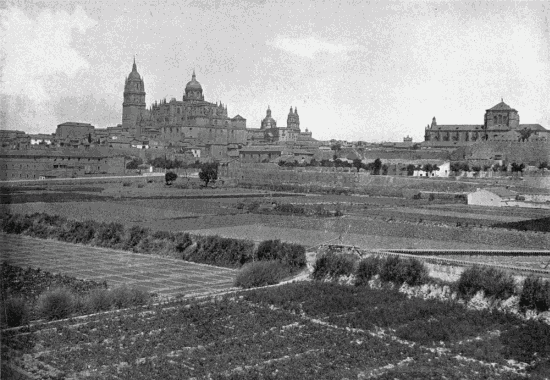 SALAMANCA
From the Vega