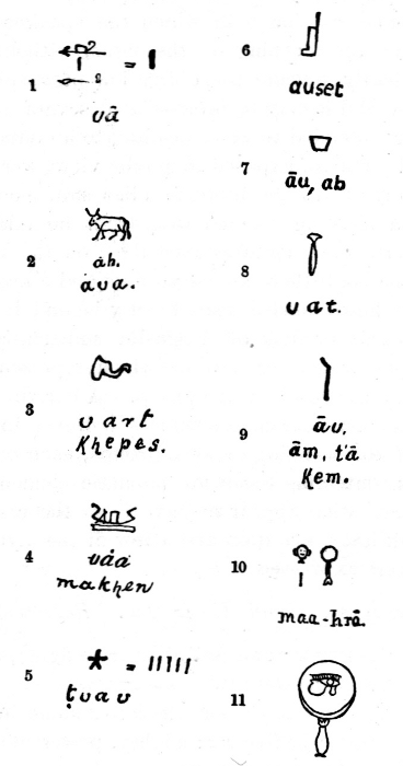 Figure 66. Illustration.