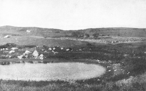 This little pond is a basin hollowed by the same glacier
that scattered the stones and rounded the hills