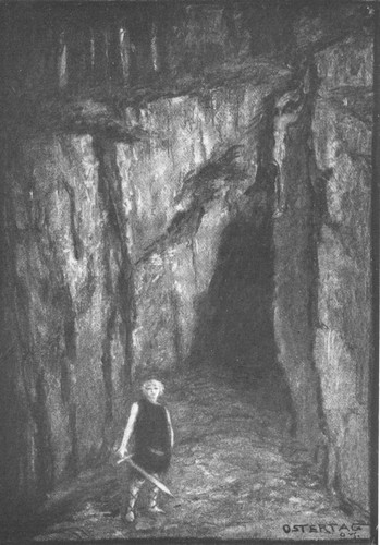 By permission of the American Museum of Natural History

Ca&ntilde;on Diablo meteorite from Arizona