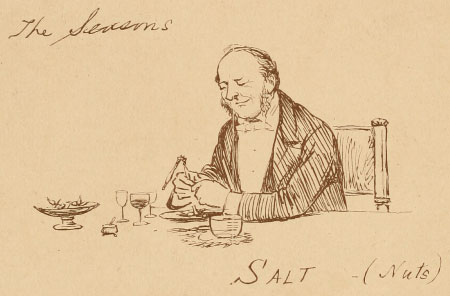 The Seasons Salt (Nuts)