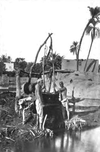 THINK OF WATERING A WHOLE WHEAT-FIELD WITH A WELL-SWEEP
AND A PAIL