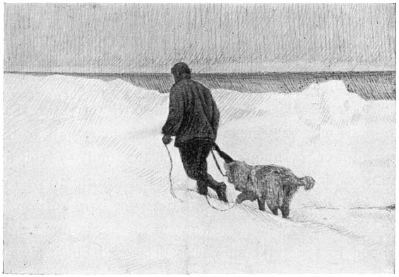 My Last Dog, &ldquo;Kaifas&rdquo;