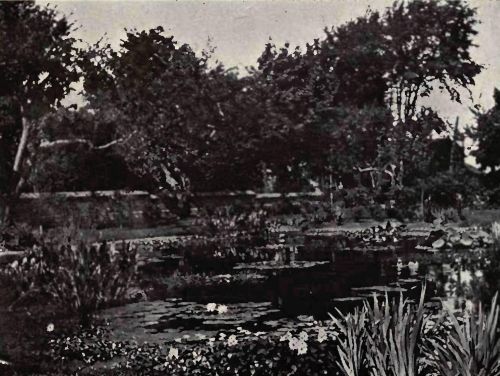 PLATE 134 "Shadyside," Painesville, Ohio. Mrs. H.&nbsp;P. Knapp