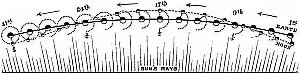 Fig. 2.

Diagram showing the moon's course during one month. The moon and the
earth are both moving onwards in the direction of the arrows. The earth
moves along the dark line, the moon along the interrupted line --. The
dotted curved line .... shows the circle gradually described by the moon
round the earth as they move onwards.