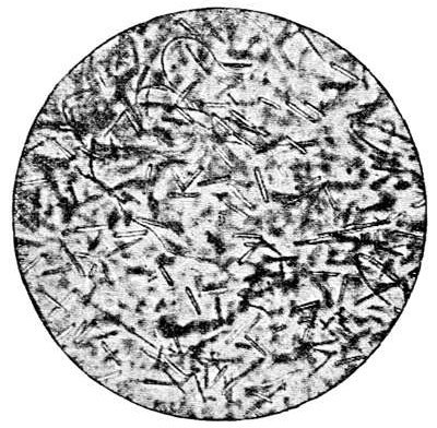 Fig. 42.

A slice of volcanic glass under the microscope,
showing well-developed microliths. (After
Cohen.)