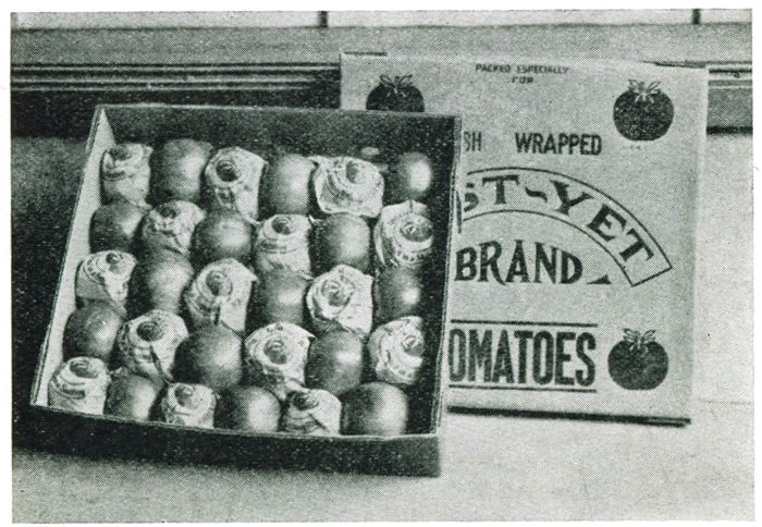 Figure 26.&mdash;Repacked tomatoes. Southern tomatoes go to wholesale
houses that specialize in ripening and repacking. Many kinds of
packages are used. The flat 10-pound box is one of the popular
packs especially in the Boston area.