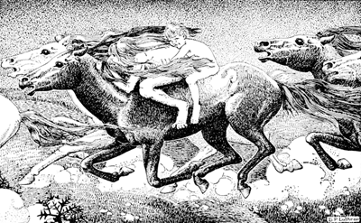 THEN THE WILD MAN, CATCHING MARTIN
UP, LEAPED UPON THE BACK OF ONE OF
THE HORSES.