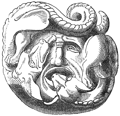 Fig. 25.&mdash;Anguish.