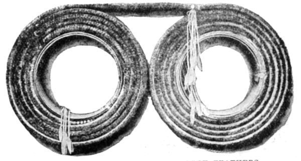 FEATHERS AS MONEY&mdash;RED PARROT FEATHERS.