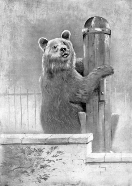 "ANDRÉE, INDEED! I WAS THERE LONG AGO!"
From the Painting by T. C. Hepworth.