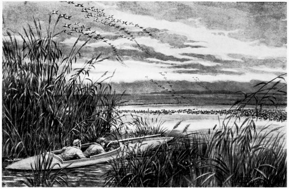 The Stancheon-Gun in the Marisma&mdash;dawn.