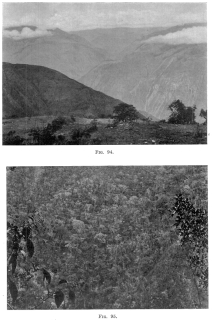 Fig. 94&mdash;Cloud belt at 11,000 feet in the Apurimac Canyon
near Incahuasi. For a regional diagram and a climatic cross-section see
Figs. 32 and 33.