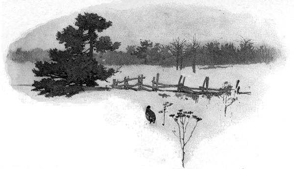 There she stood in the snow with head high, listening
anxiously.