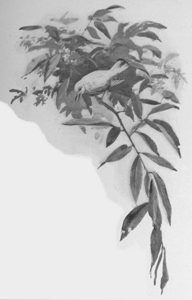 She called me every wicked thing that she could think
of