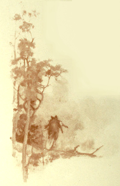 The limp, lifeless one hanging over the neck of that
 fox