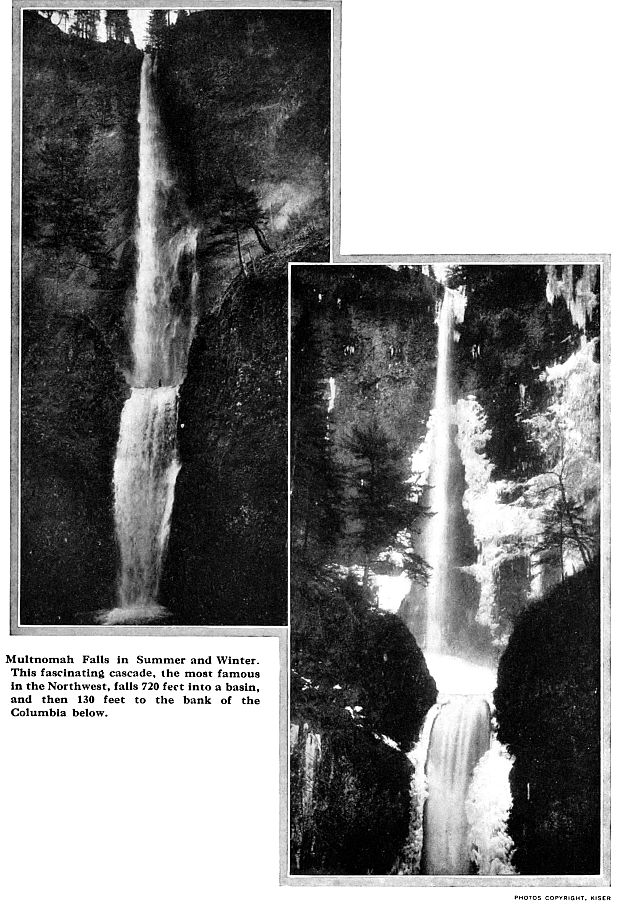 Multnomah Falls in Summer and Winter.
This fascinating cascade, the most famous
in the Northwest, falls 720 feet into a basin,
and then 130 feet to the bank of the
Columbia below. PHOTOS COPYRIGHT, KISER