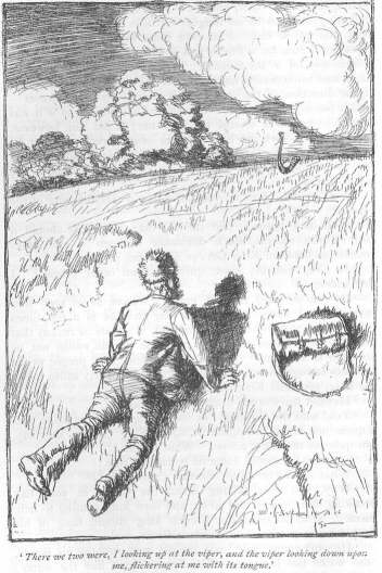 &lsquo;There we two were, I looking up at the viper, and the viper looking down upon me, flickering at me with its tongue.&rsquo;