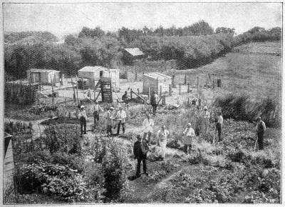 Bei unsern H�hnerst�llen