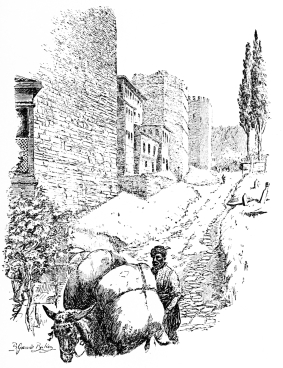 Wall of Palæologian Repair.

Let us proceed&mdash;down by these walls. High and of enormous strength they
are still, for they form here the single line of defence; the ground
offered too many obstacles for the erection of an outer rampart, and at
the highest point which we are leaving behind us, not even a moat was
possible.