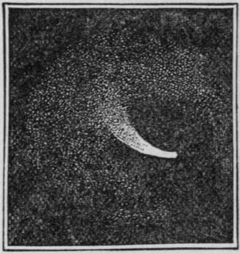 Fig. 24.&mdash;Comet III. of 1862, on Aug 22, showing jet of luminous matter (Challis).