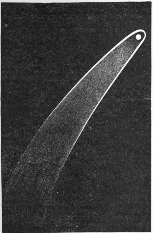 Fig. 27.&mdash;The Great Comet of 1811.