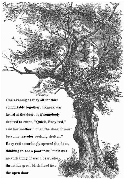 One evening as they all sat thus comfortably together, a knock was
heard at the door, as if somebody desired to enter, 'Quick, Rosy-red,'
said her mother, 'open the door; it must be some traveler seeking
shelter.' Rosy-red accordingly opened the door, thinking to see a poor
man; but it was no such thing, it was a bear, who thrust his great
black head into the open door.