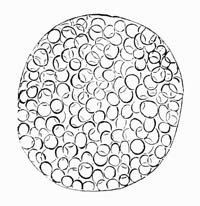 Illustration: Sac with psorospermi�