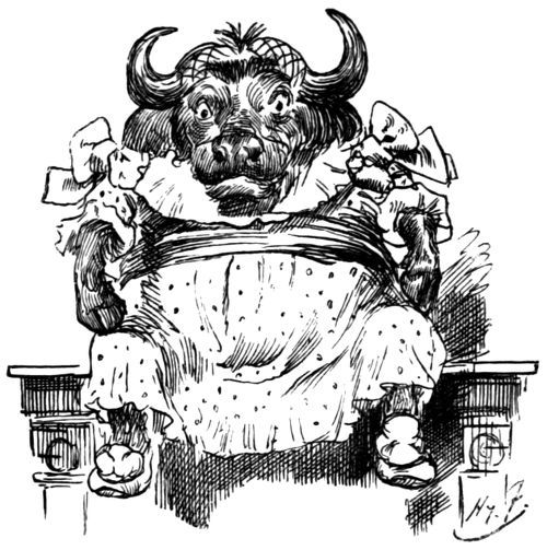 &lsquo;HE THOUGHT HE SAW A BUFFALO&rsquo;