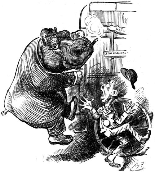 &lsquo;IT WAS A HIPPOPOTAMUS&rsquo;