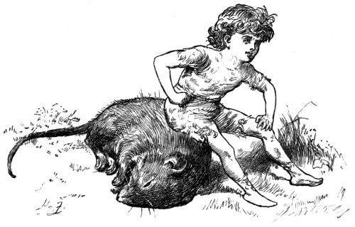 BRUNO&rsquo;S REVENGE