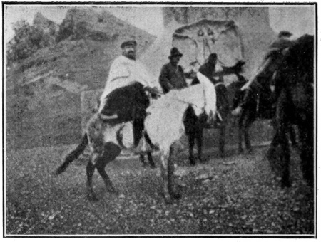 À LA CIME DE LA CORDILLÈRE DES ANDES

Blasco est représenté, dans cette photographie, au moment où il a
atteint la frontière de l’Argentine et du Chili, marquée par le monument
dit: El Cristo de la Paz.