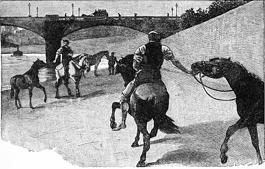 men on horseback leading other horses under bridge
