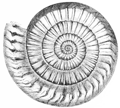 [Image unavailable.]