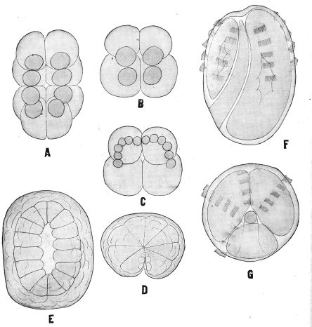 [Image unavailable.]