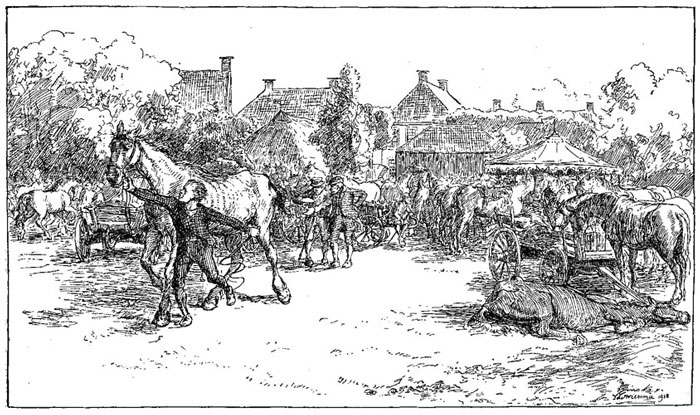 De Noarger rún op &rsquo;e
hynste-merke to Birgum.